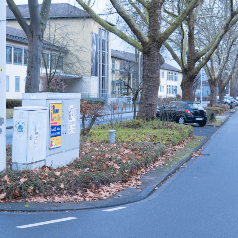 Bilder-Homepage-5